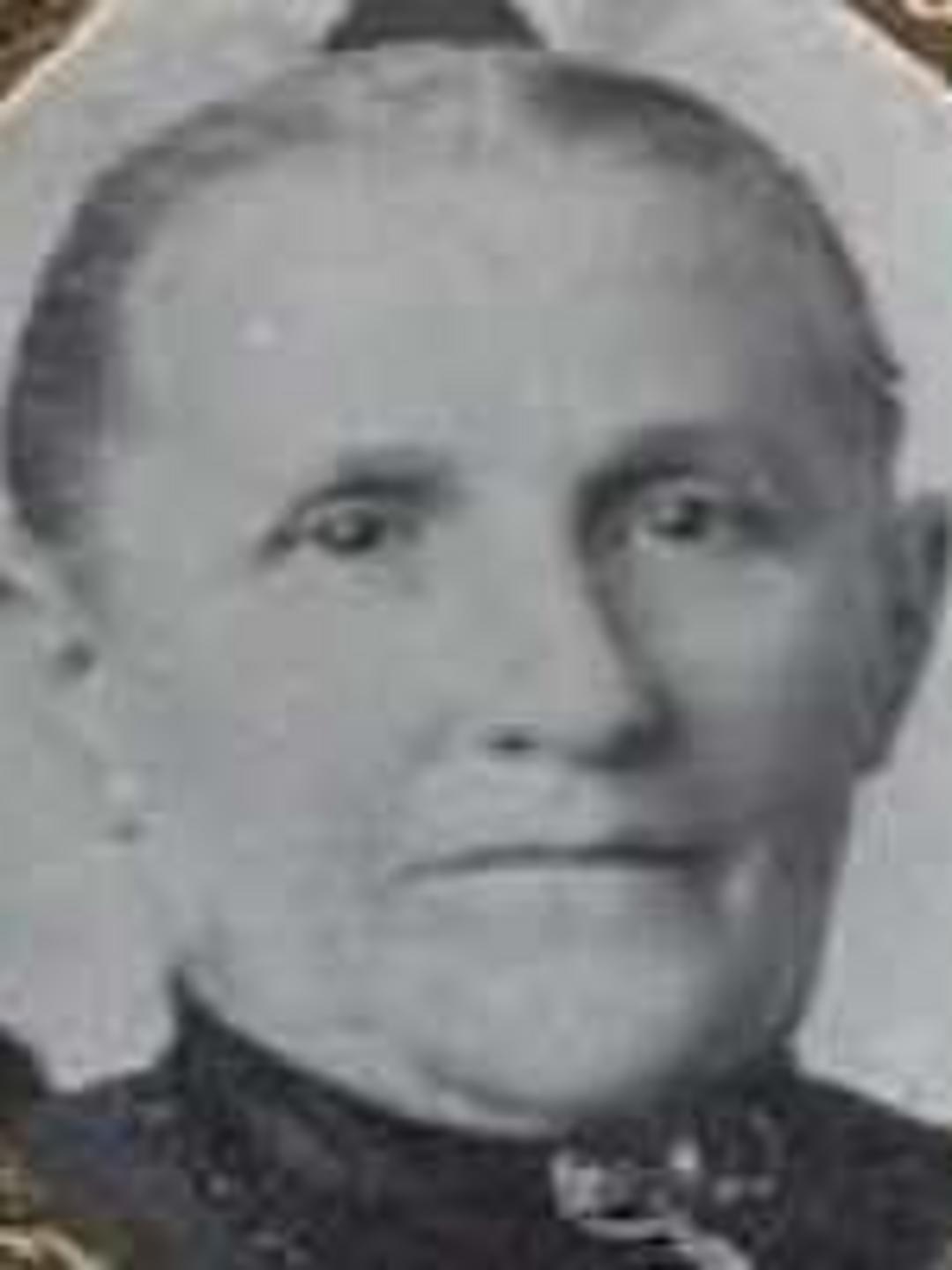 Laura Bratton (1841 - 1924) Profile